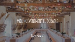 Template_blog-mice